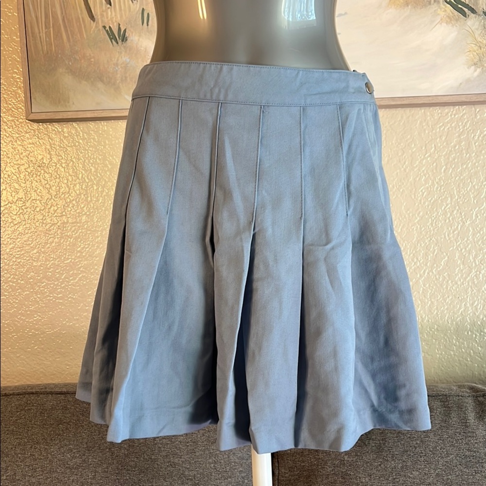 Elegant Blue Women's Skirt